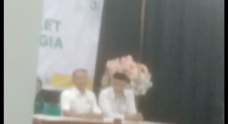 foto slider headline